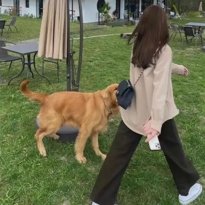 梦幻拍档